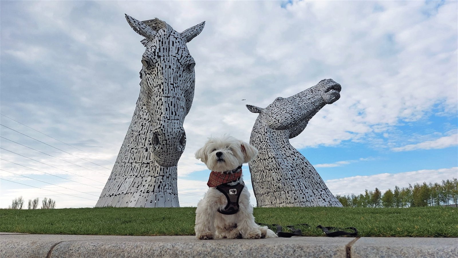 Paws on Board Titelbild Schottland Reisen mit Hund