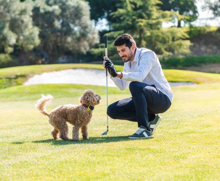 Alles über das Golfen mit Hund