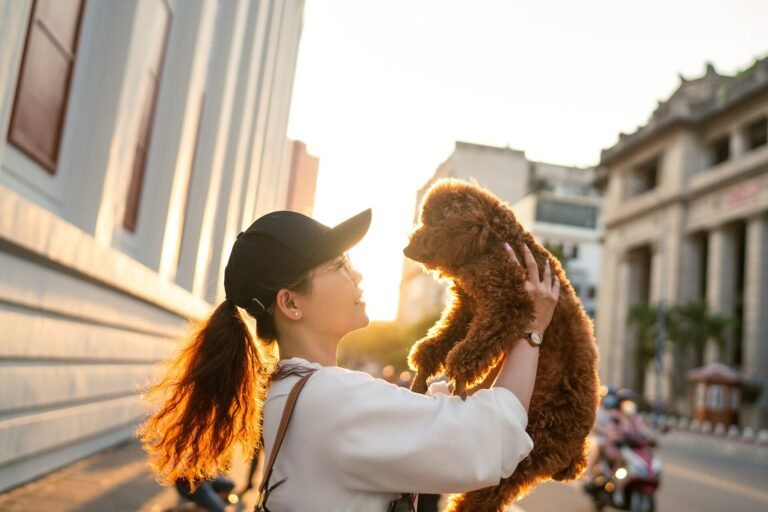 Frauchen mit Hund in Wien