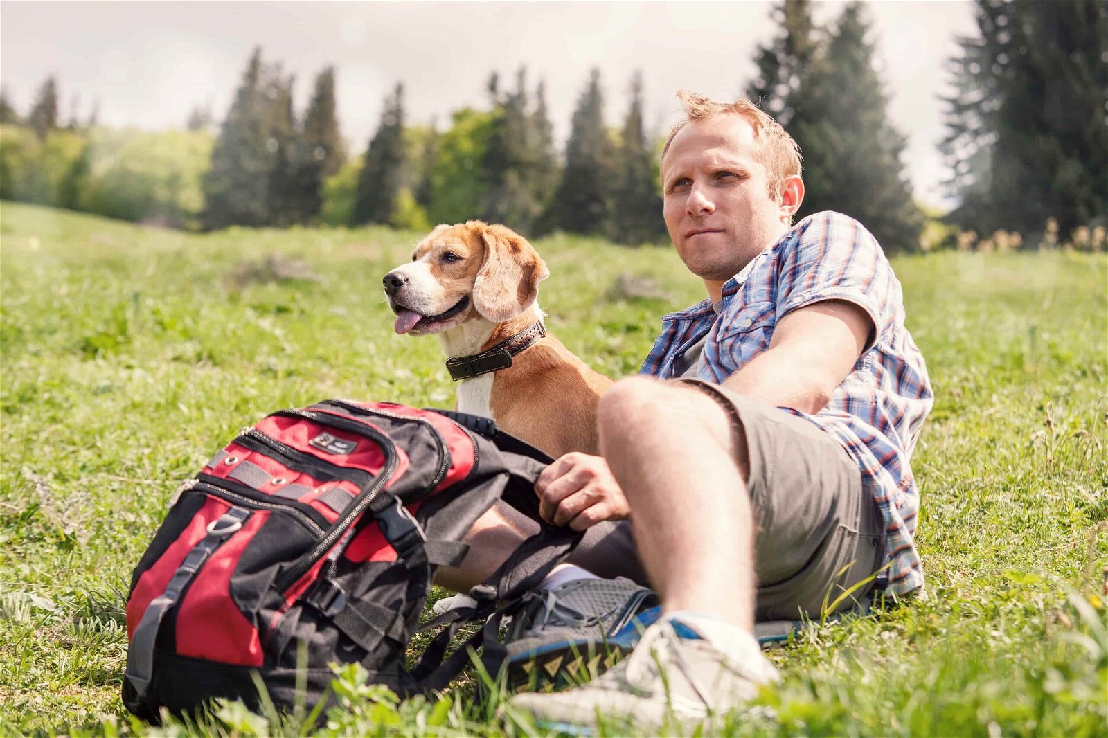 Wandern Vorbereitungen - Herrchen mit Hund auf Bergwiese