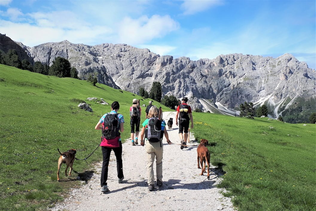 Alpenüberquerung stille Wege Wanderung Hund Berge
