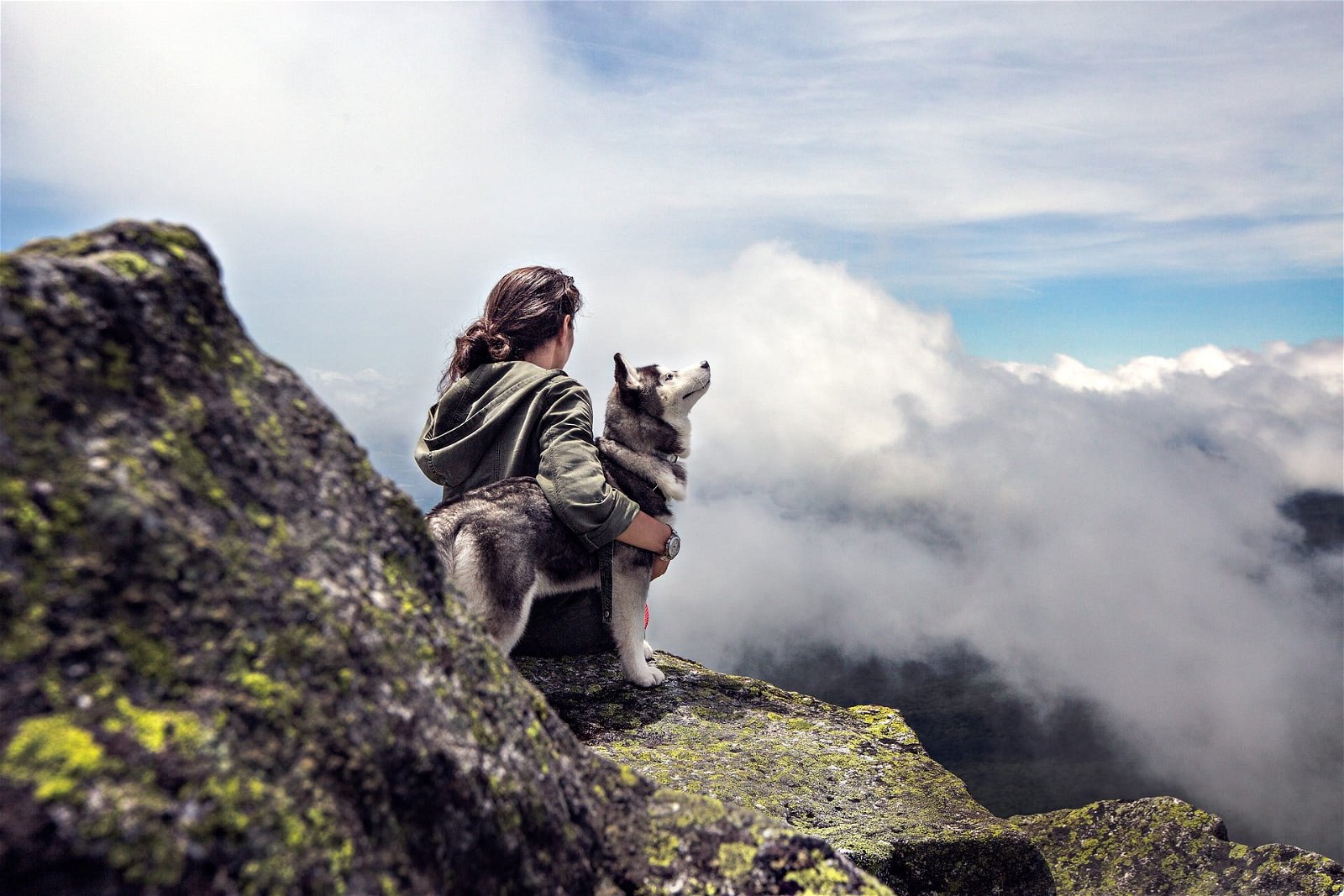 Wander mit Hund Titelbild Hund am Berg Nebel