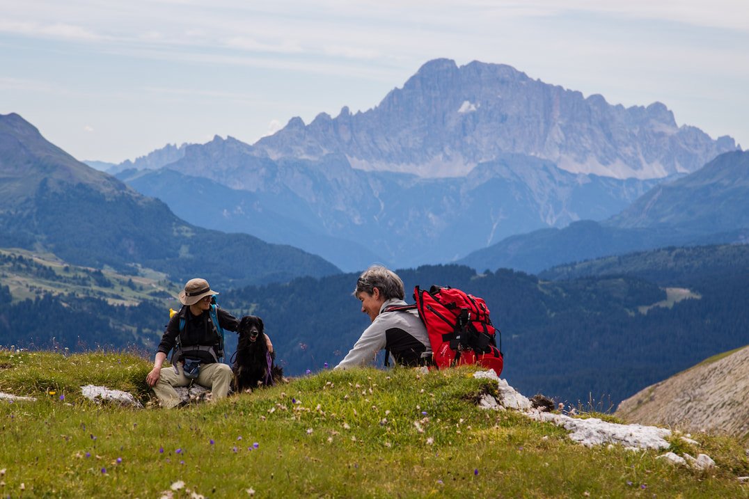 Ruhige Alpentour Hunde Wanderung Berg