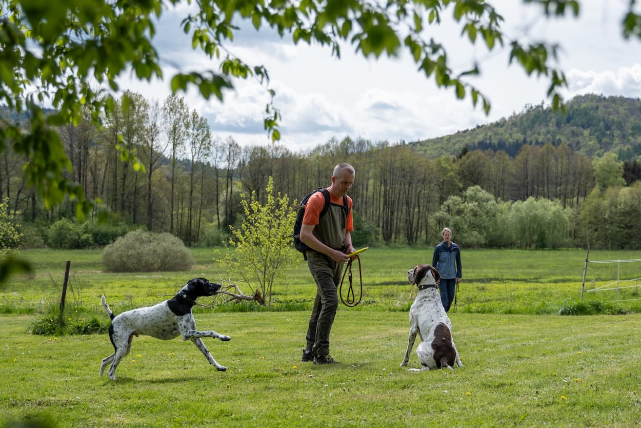 Clevertours Wolfshof Hunde Hoteltipp Harz