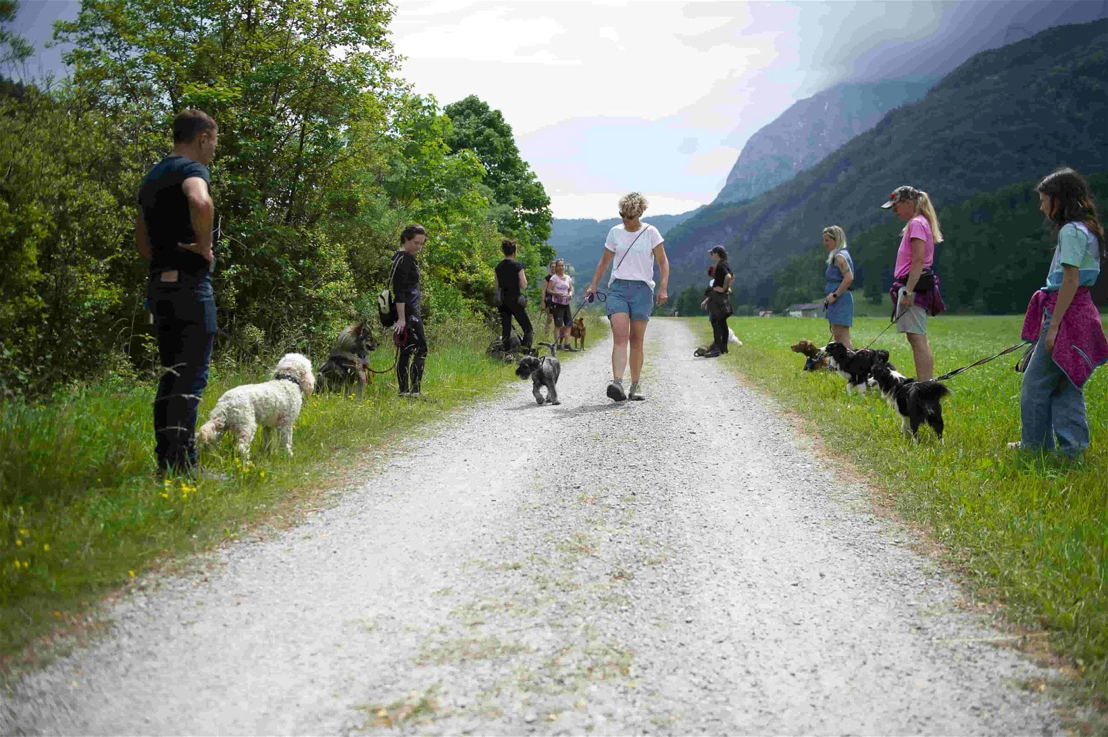 Hundetrainerreise Waidring Zielgruppe Spaziergang Workshop