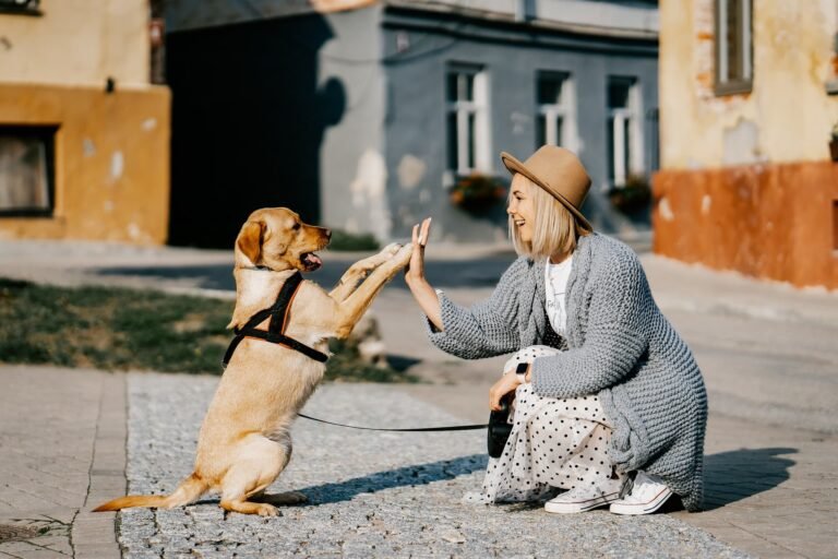 Interhome Tipp Ferienhaus Ferienwohnung mit Hund Titelbild