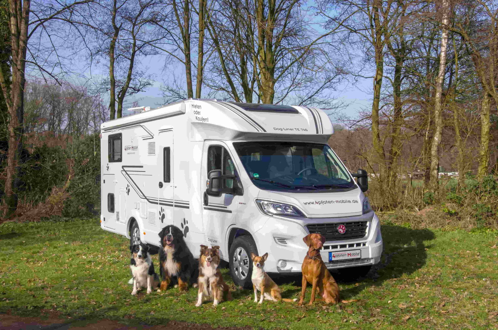 4pfoten-mobile Tipp Hunde vor Dog Liner