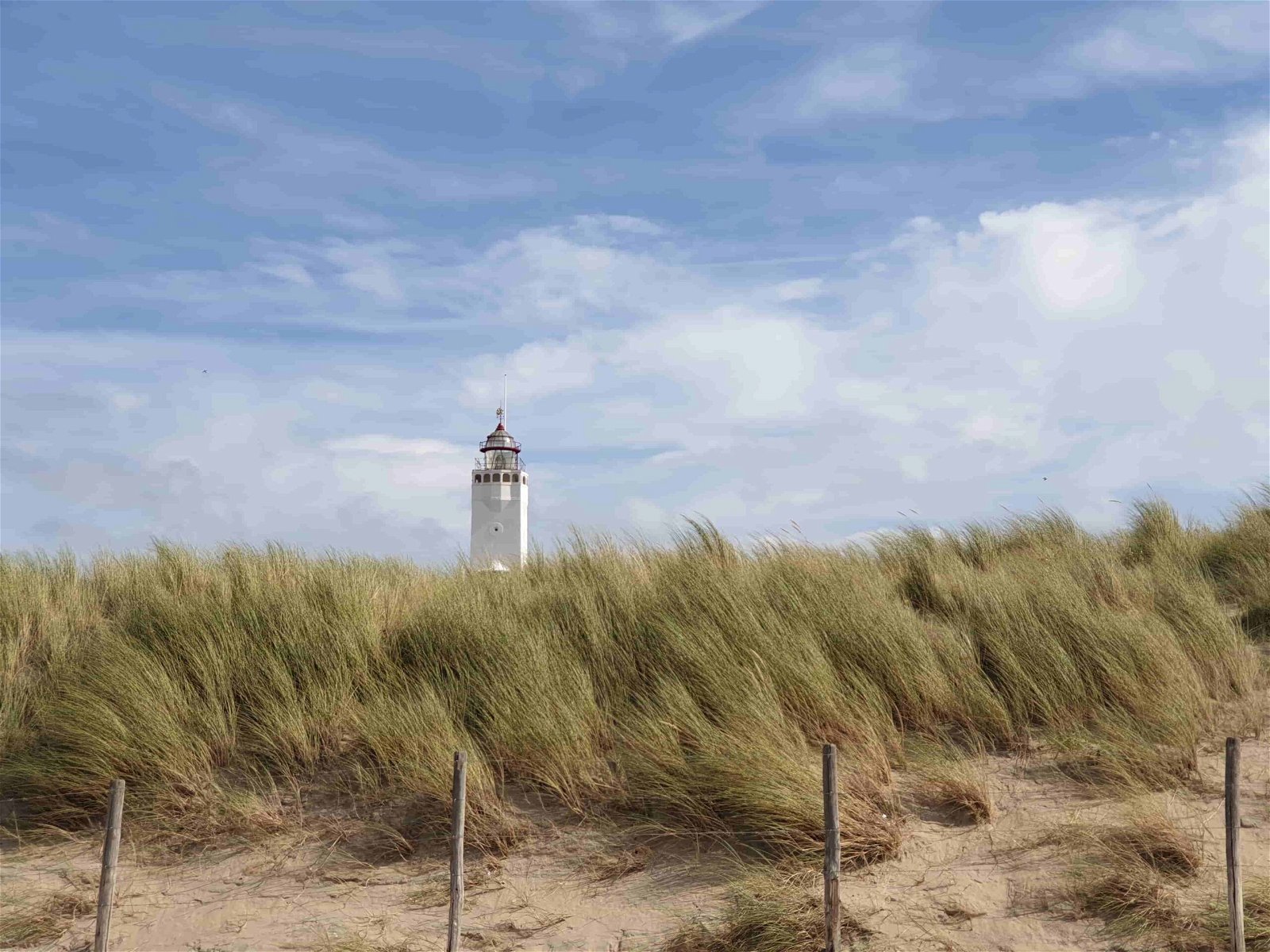 Niederlande Noordwijk mit Hund Titelbild Strand Dünen