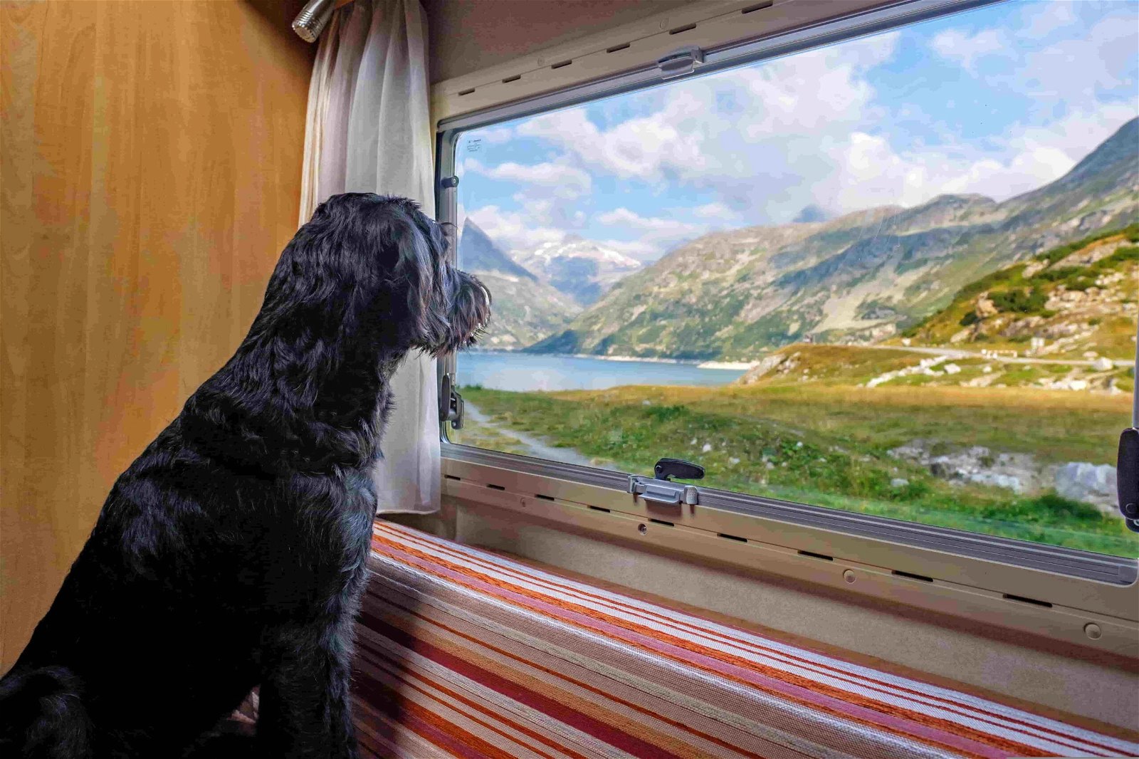 Camping mit Hund Plätze finden Wohnmobil Hund