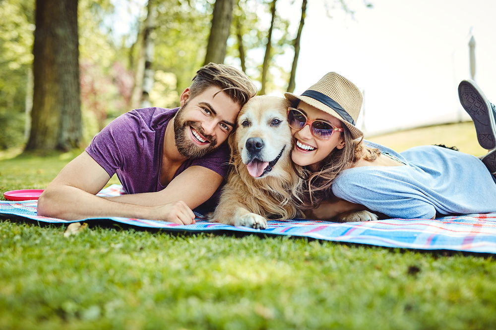 Ein glückliches Pärchen liegt auf einer Picknickdecke mit einem Golden Retriever zwischen sich.